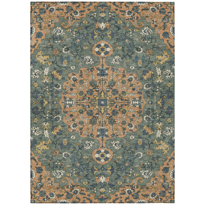 Machine Washable Indoor/Outdoor Chantille ACN2463 Traditional Rug