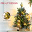 60cm H Lighted Artificial Pine Christmas Tree