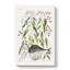 Globe Fish by Mark Catesby - Wrapped Canvas-55317008
