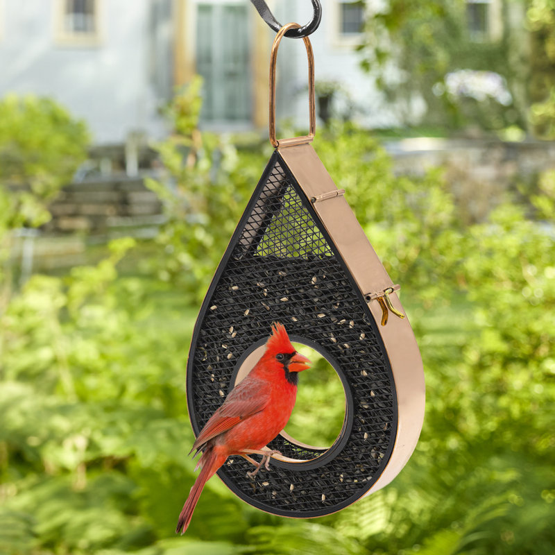 Mangeoire d'oiseaux en cuivre Rain Drop Fly-Thru