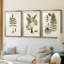 Fern Botanical III - reproduction sur mesure encadrée de qualité supérieure - 3 pièces-781275492-781275494