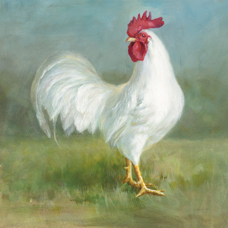Noble Rooster I, H 36 po x l 36 po