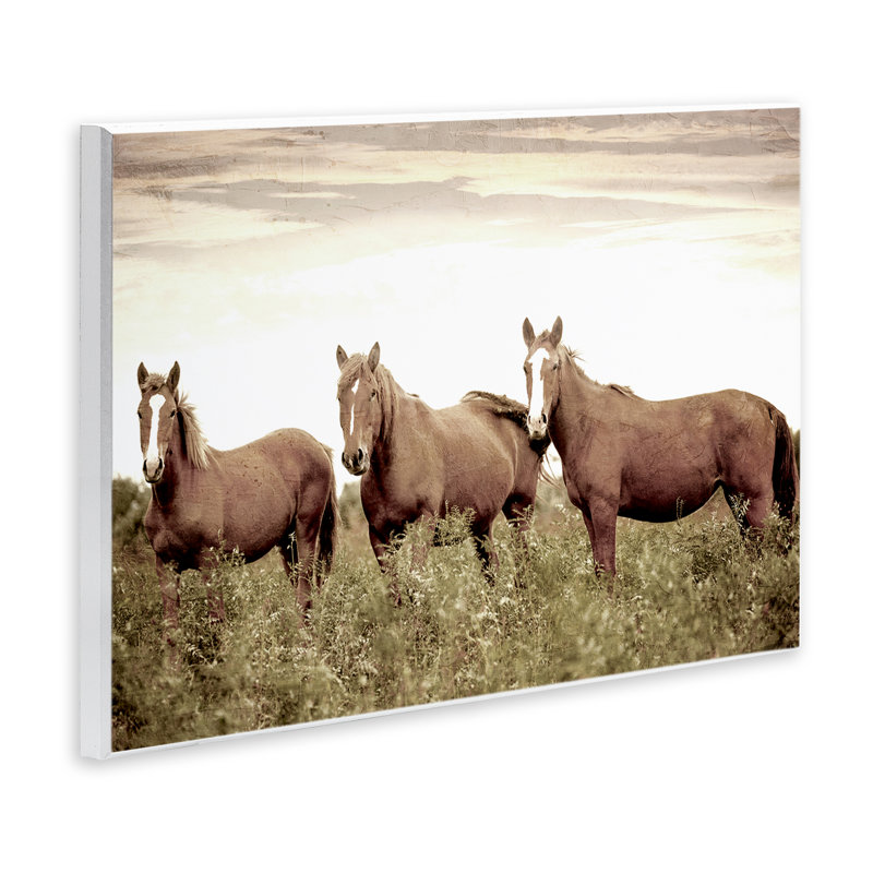 «Horse Trio Gaze» par Kim Allen, H 13 po x l 19 po