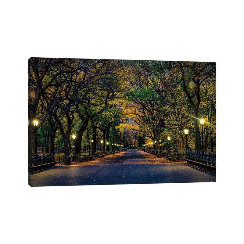 Central Park Magic par David Gardiner - Estampe numérique sur toile tendue avec châssis, H 12 po x l 18 po x 1,5 po