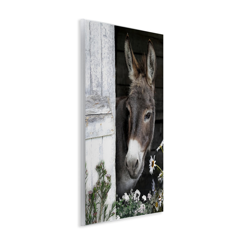 Plaque murale «Gentle Donkey Peering from Barn», conception par CAD Designs, H 19 po x l 13 po