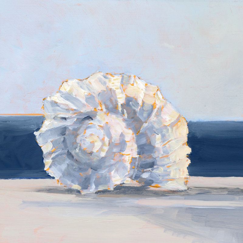 Coquillage près de la côte IV, H 30 po x l 30 po x P 1,25 po