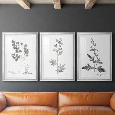 Botanical Imprint I - Impression personnalisée de qualité supérieure avec cadre mat - 3 pièces