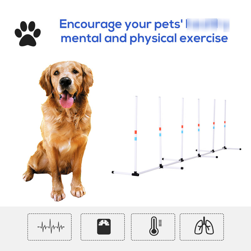 Trousse d'obstacles pour chien Promeut les activités extérieures du chien. Et portable. Configuration entièrement réglable. Renforcer la connexion avec les animaux de compagnie. Polypropylène blanc.