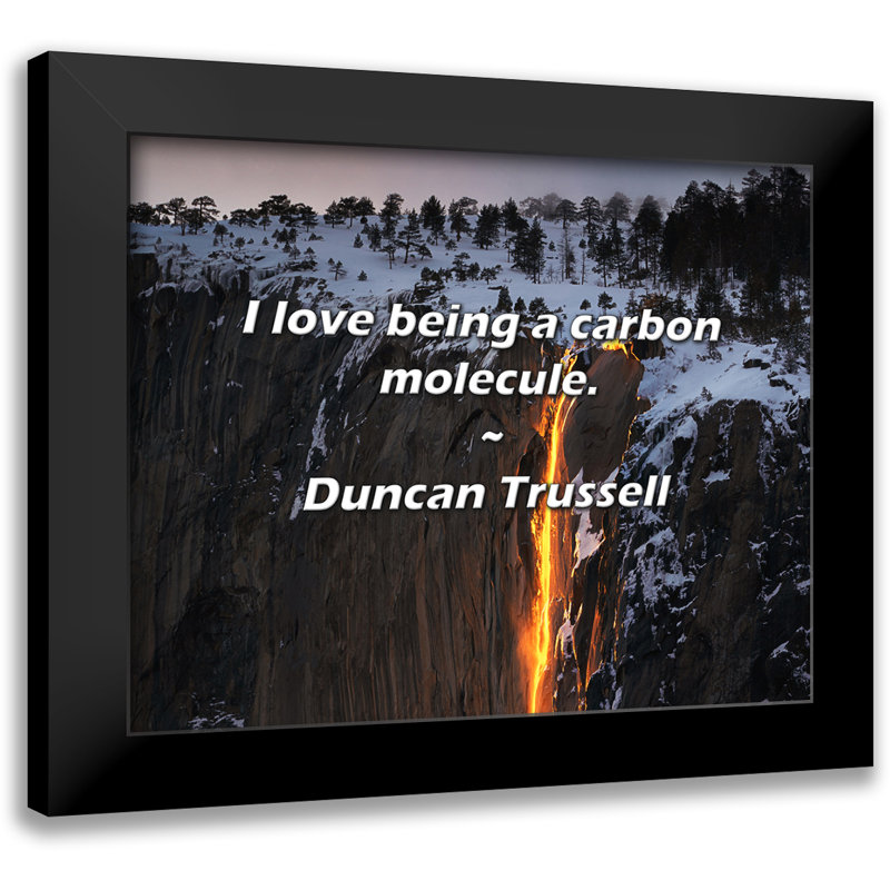 Citation de Duncan Trussell: «I love be a carbon carbonule».
