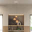 Vine 3 - Light Pendant-568762804