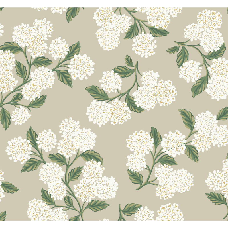 Papier peint 27 'x 27 "Hydrangea, Beige