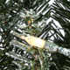 The Holiday Aisle® Snowy Morgan Spruce Wreath with Battery Operated LED Lights