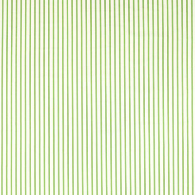 Ribbon Stripe Fabric