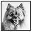 Winning Smile 1 Framed Photographic Print-1275303292-1275303293