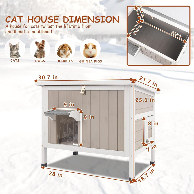 Maison de chat insultée