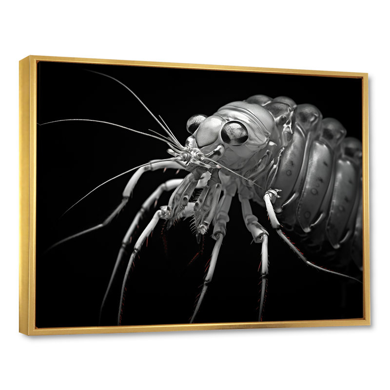 Crevettes noires et blanches, reproduction de photo sur toile, H 30 po x l 40 po x P 1,5 po, Cadre flottant doré