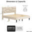 Grand lit beige - Structure, sans sommier, avec assemblage facile et plancher de nuit tranquille (beige) - Espace de rangement