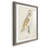 " Barn Owl " 3 Piece Art Color Photography Painting-669017105-669017109