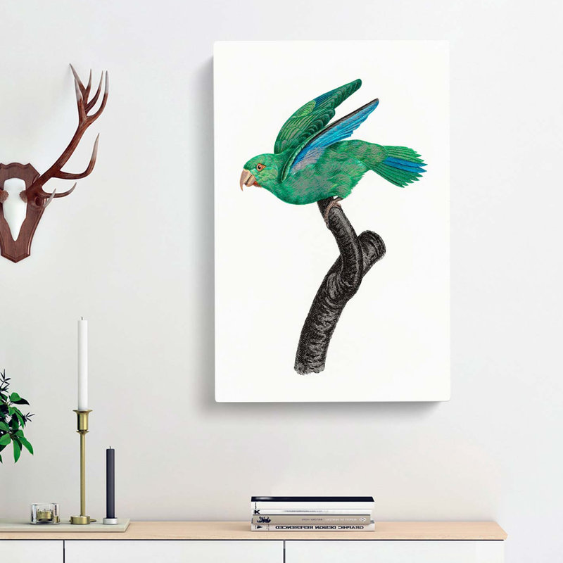 Marigold Parakeet by F. Levaillant - Wrapped Canvas Painting, 50cm H x 35cm W x 3cm D