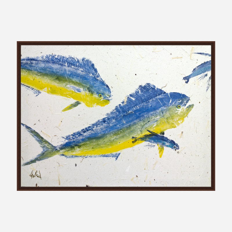 Mahi I By John Beard - Framed Gallery Wrapped Canvas Print Print by John Beard, 22" H x 26" W x 2" D, Brown Floater Framed