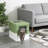 Spacious Modern Cat Litter Box With Scoop And Front Entry