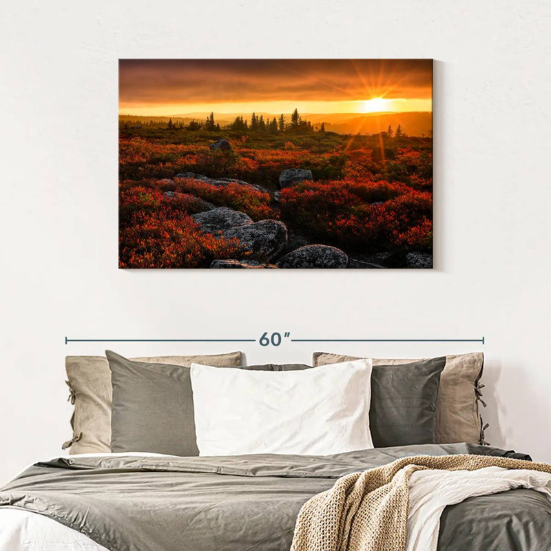 Alvord Dolly Sods Sunset, H 30 po x l 45 po