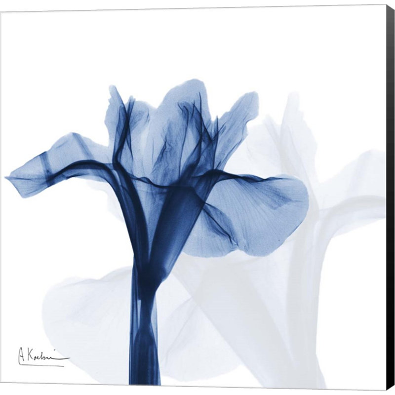 Indigo infusé d'iris par Albert Koetsier - peinture sur toile tendue
