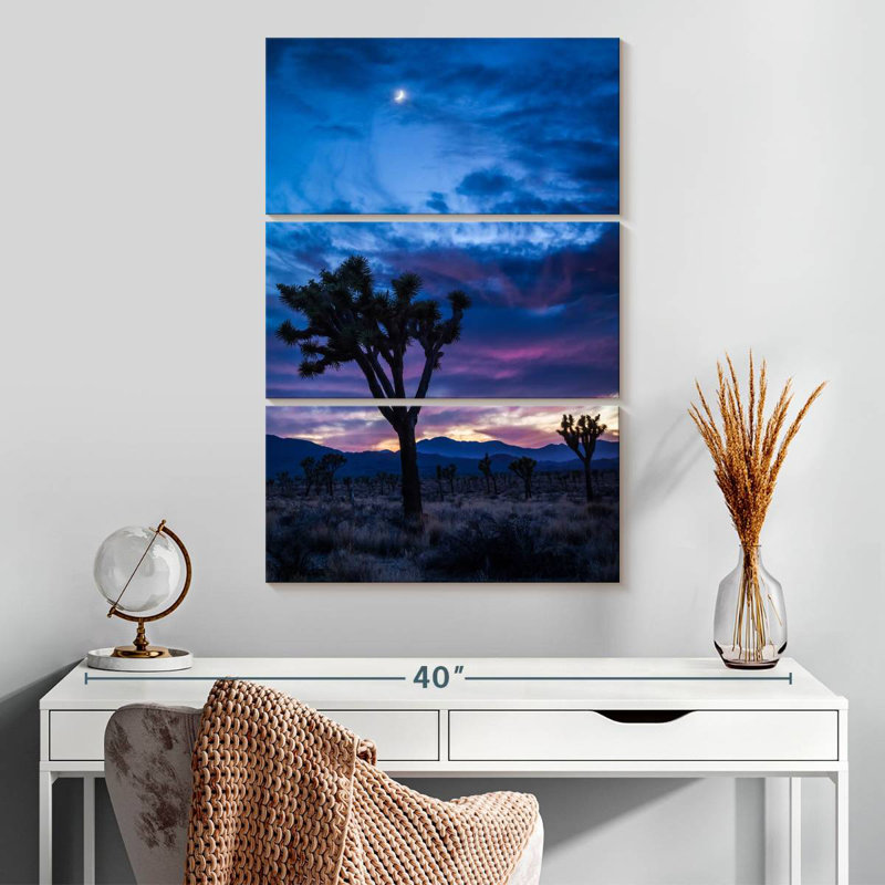 Masam Joshua Tree Park la nuit, H 32 po x l 20 po