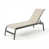 Harnais Augustine Oyster II / anthracite