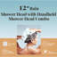 Combinaison luxueuse de pomme de douche double-112457909