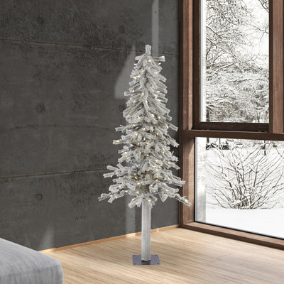 5' Lighted Pine Christmas Tree