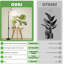Grow Light avec support pour plantes d'intérieur, 8 "Halo Full Spectrum Grow Light
