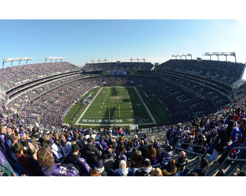 M&T Bank Stadium, H 15 po x l 24 po