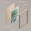 Minimal Botanical IDÉE4WALL, art mural succulent, cactus rose pastel, ensemble de 4 impressions de nature sauvage, décoration florale botanique pour le salon, impression encadrée de chambre à coucher, 4 pièces-90162033-90162036