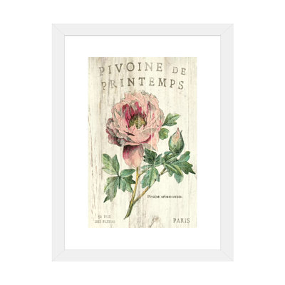 Pivoine de printemps par Sue Schlabach-impression d’art graphique