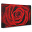 Red Rose Flower Vol.5 - Wrapped Canvas-61837220