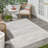 Machine Woven Chenille Indoor/Outdoor Area Rug in Gray-900685430