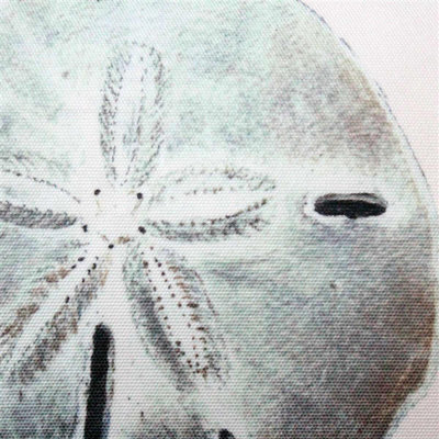 Ponte Vedra Sand Dollar Lumbar Pillow
