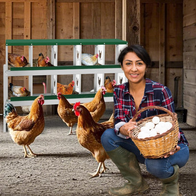 Boîte de nidification pour poulets, boîte à œufs verte avec support à 10 trous, convient aux poules et aux canards, grands trous pour la ventilation, pratique pour ramasser les œufs, entièrement galvanisée