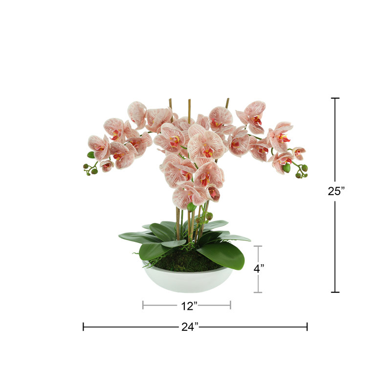 Orchids Arranged in Fiberstone Planter, Pink