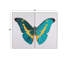 Ailes de papillon - ensemble 2 pièces