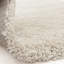 Taiwo Shaggy Ivory Area Rug-449856220