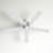 Aaden 52'' Ceiling Fan in White-890462102-890462097