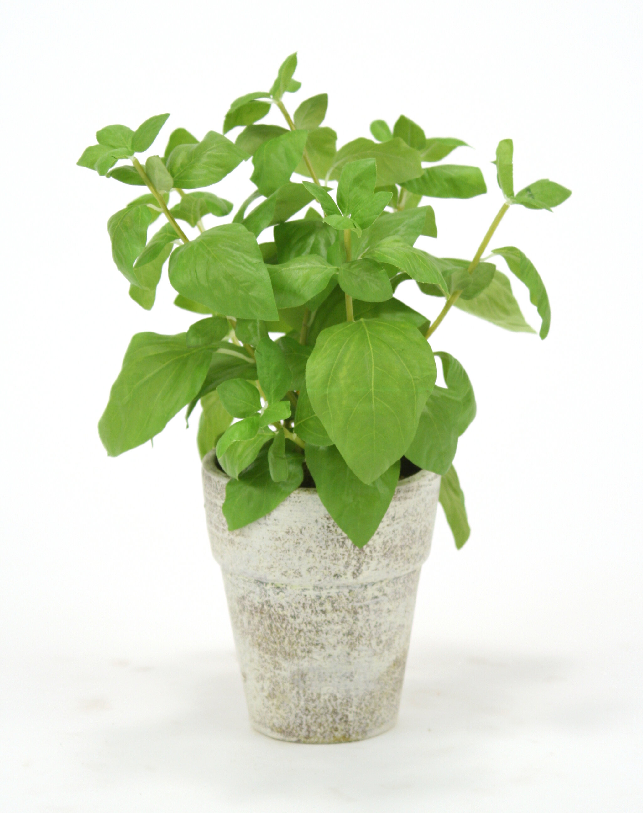 Distinctive Designs 15 Faux Basil Plant in Ceramic Pot Reviews