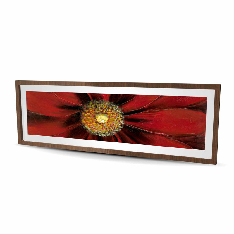 Red Daisy - reproduction encadrée mat pour décoration florale, H 20 po x l 60 po, Brun