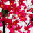 72'' Faux Bougainvillea Tree in Planter