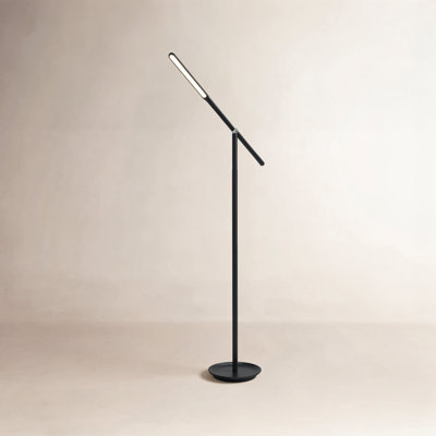 Dris 54'' LED Task Floor Lamp