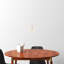 Deva Single Light Glass Dimmable Pendant
