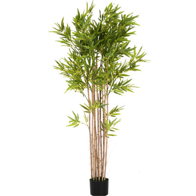 Artificial 70" In Pot - Long Leafed, Pre Potted, Low Upkeep, Pose To Your Liking, 39" W X D H, Leaves, Easy Place, No Assembly,