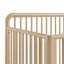Porto Deluxe 5-in-1 Convertible Crib with Bonus Toddler Guardrail -711129094
